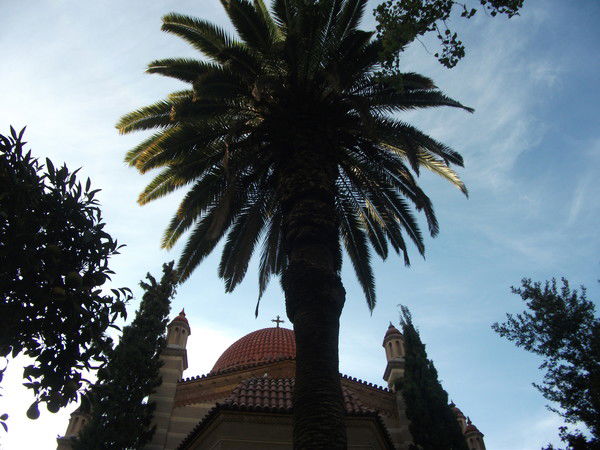 Мария Соснова