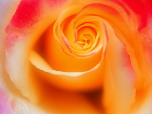 Маргарита Бацманова