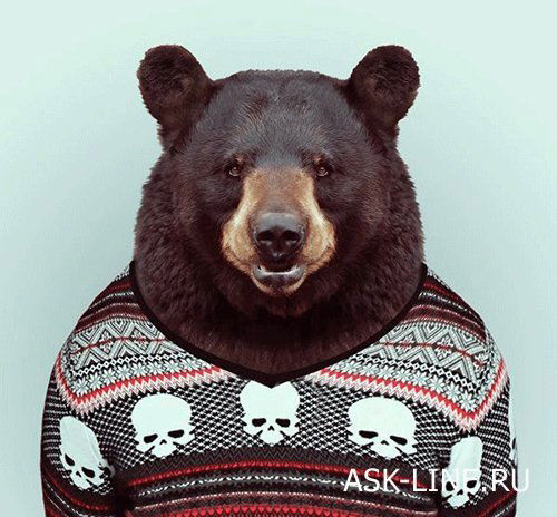 Евгений Дёмин