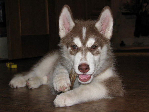 Роман Зинов