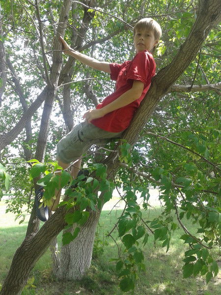 Александр Смелянец