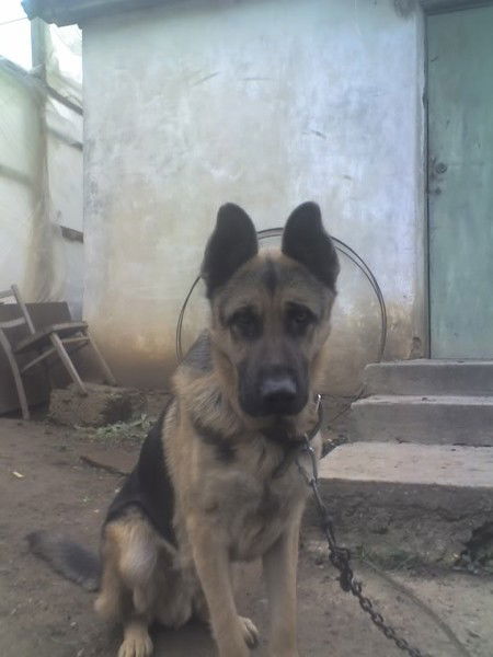 Павел Ракитов