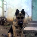 Павел Ракитов