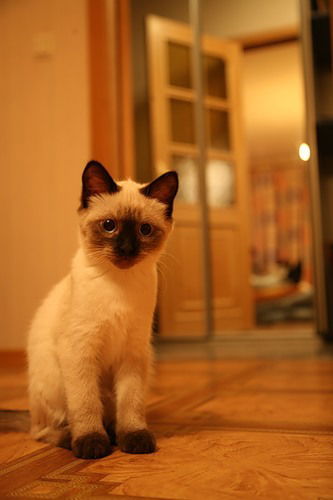 Татьяна Сагидуллина