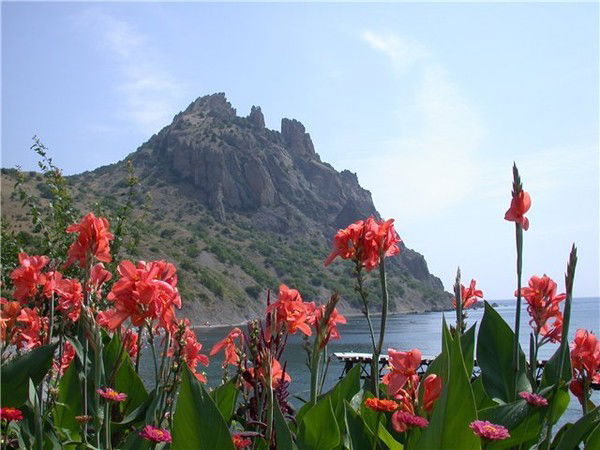 Клавдия Шумакова