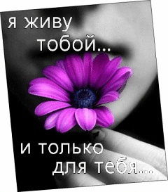 Екатерина Сидоркина