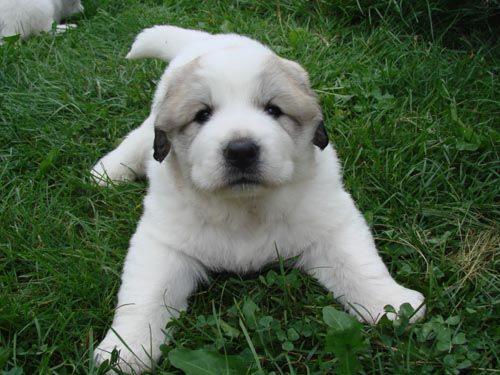 Евгения Кузнецова