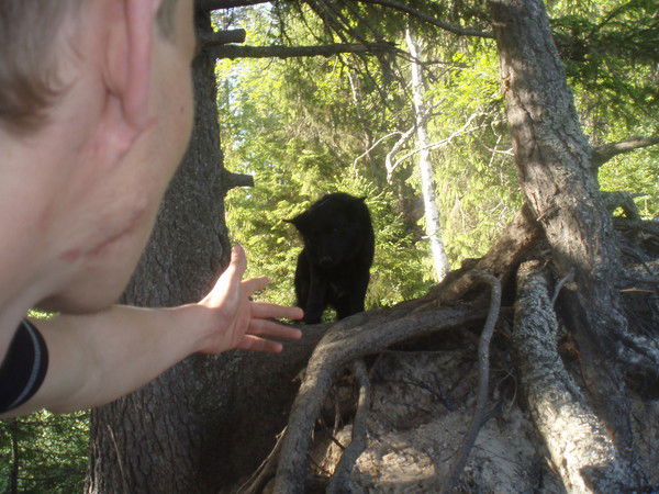 Александр Лучкинский
