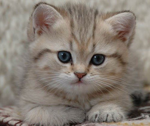 Римма Тангатарова