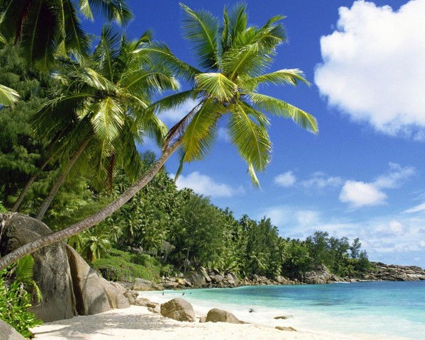 Светлана Черникова