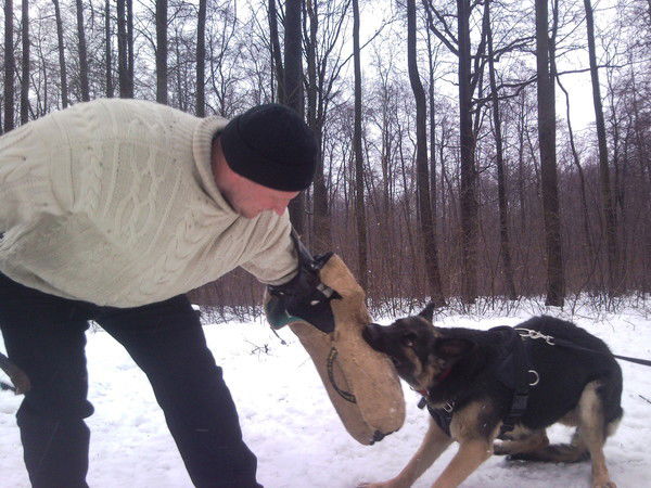 Елена Акопян