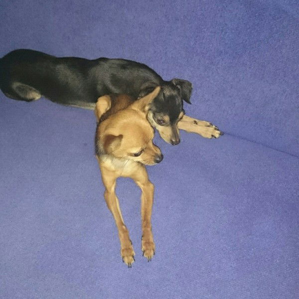 Игорь Трофименко