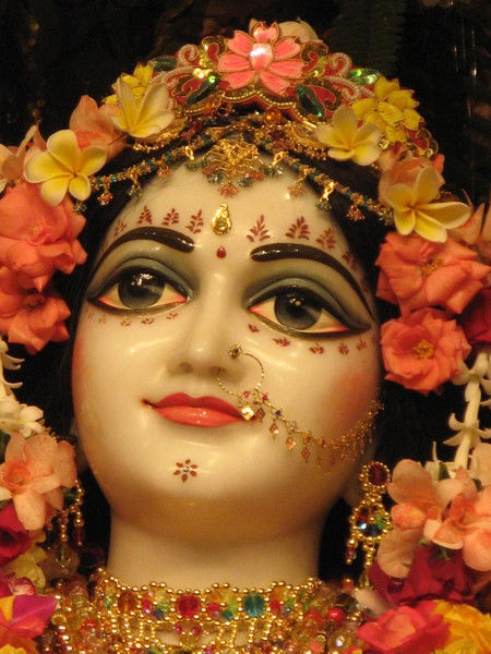 Светлана Гребень