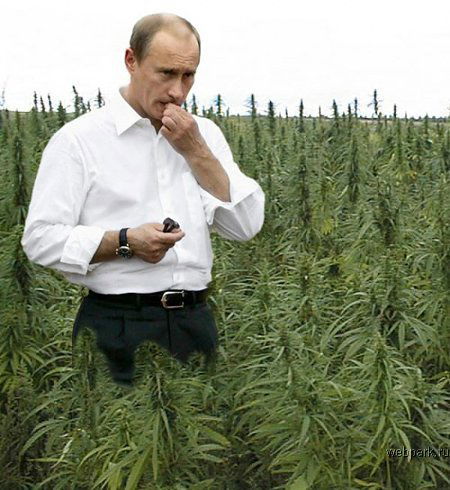 Владимер Путин