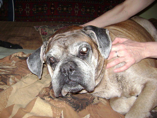 Добров Сергей