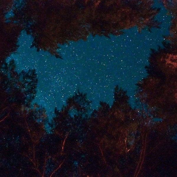 Алексей Четверов