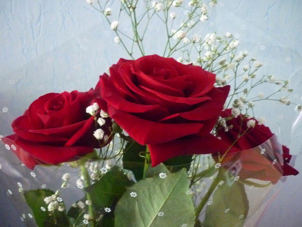 Настя Иванова