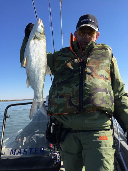 Александр Гимальдинов