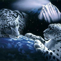 Игорь Поливода