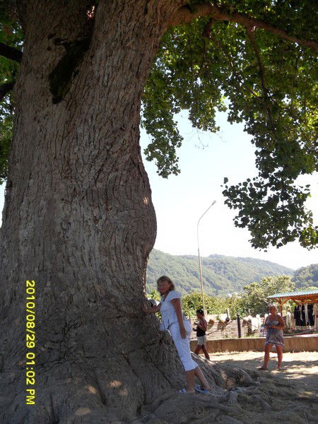 Елена Разуваева