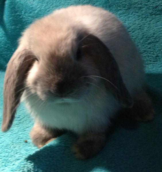 ***людмила И Юлия ***