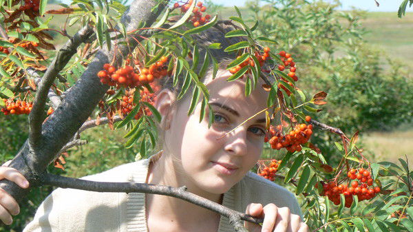 Софья Никитченко