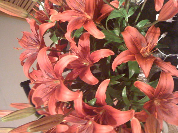 Татьяна Гриценко