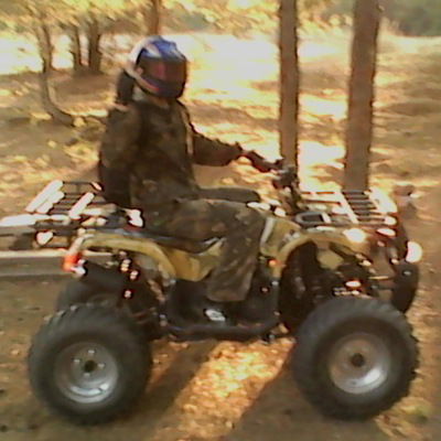 Миша Гольцев