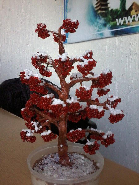 Darhan Tour Kara-Balta