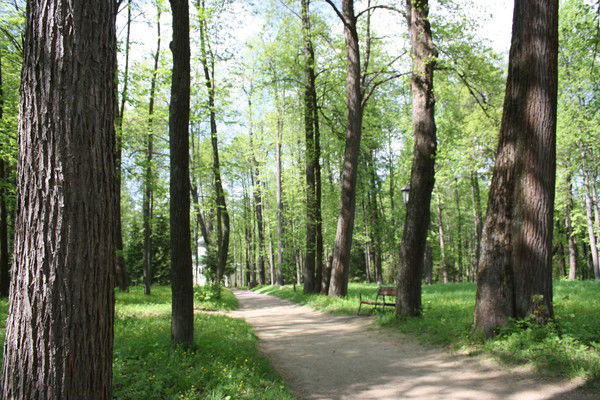 Илья Горяев