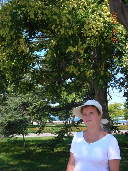 Наталья Горшкова