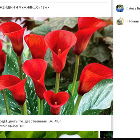 Ляля Вафина