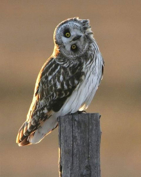 Райхан Молдалиева