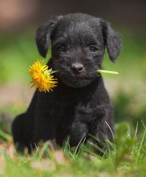 Сергей Иванов