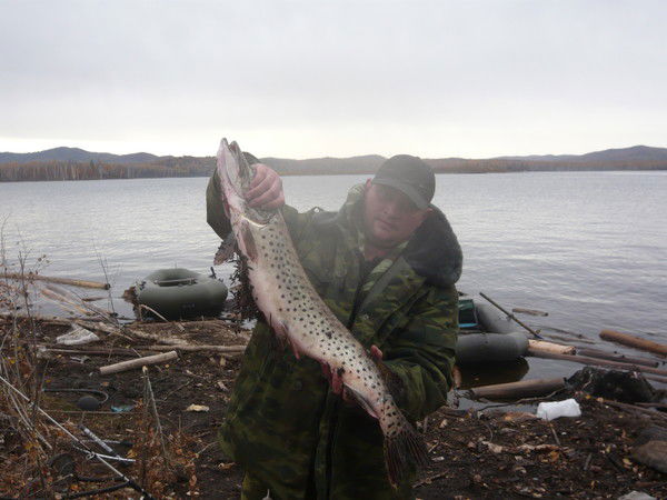 Максим Сервирог