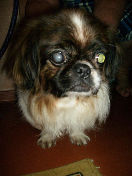 Жигало Галина