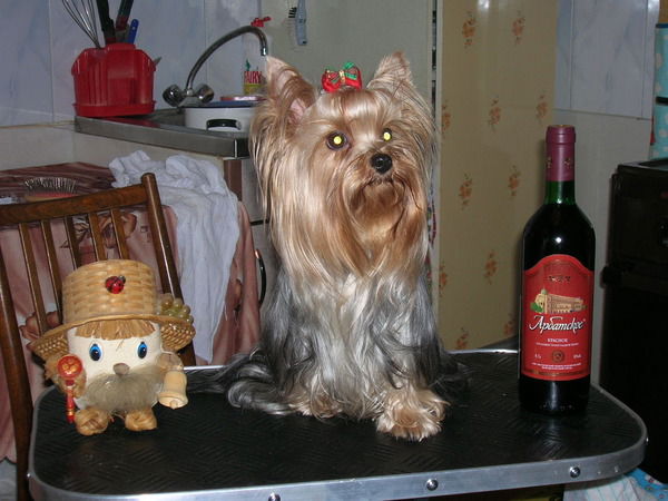 Ольга Выборная