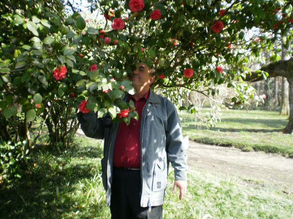 Григорий Щеглов