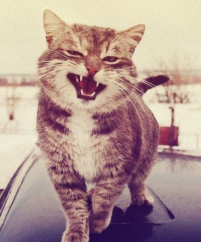 Тимофей Миков