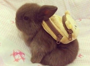 Матвей Волков