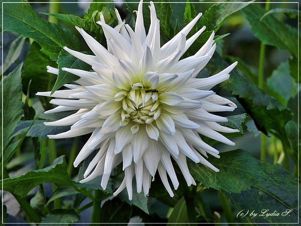 Валентина ********