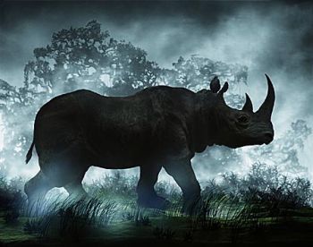 Непроницаемый Носорог