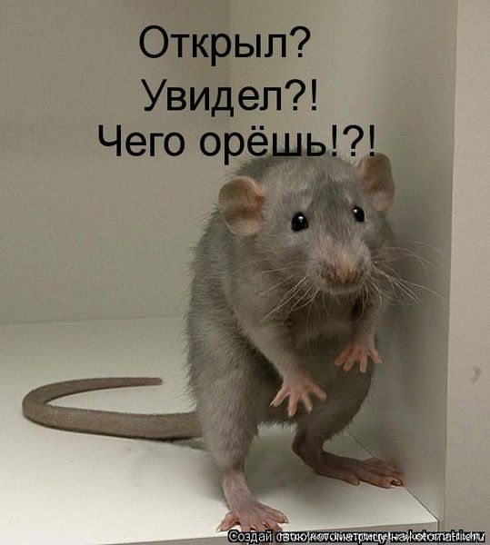 Светлана Федорова