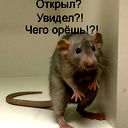 Светлана Федорова
