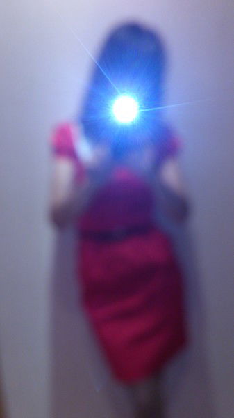 Елена Вишневская