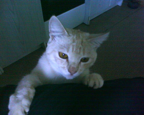 Иван Иванов