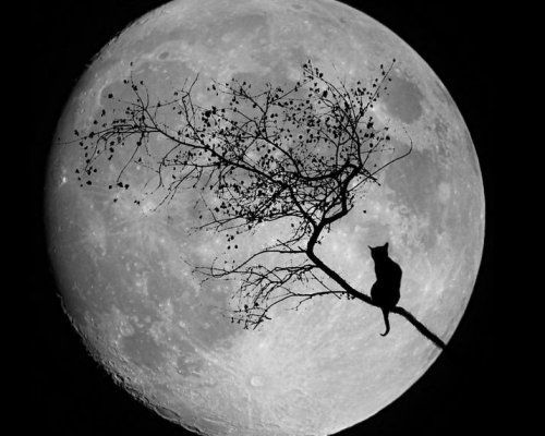 Татьяна Филиппи