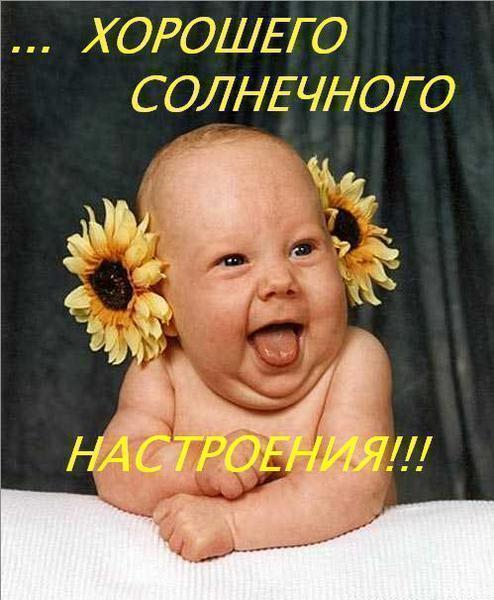 Наталья Никифоренко