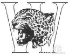 Максим Казачков