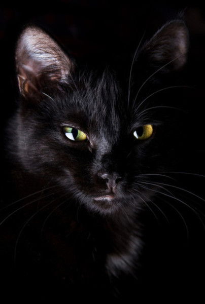 Валентина Марчук